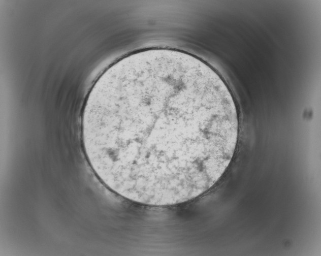 X0000112730807200909101450