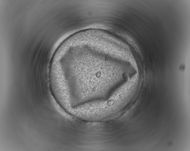 X0000112730808200909101450