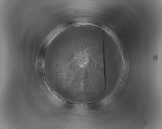 X0000112730809200909101450