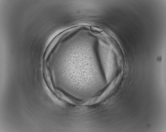 X0000112730811200909101450