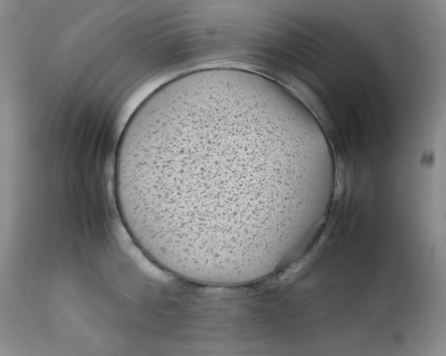 X0000112730812200909101450