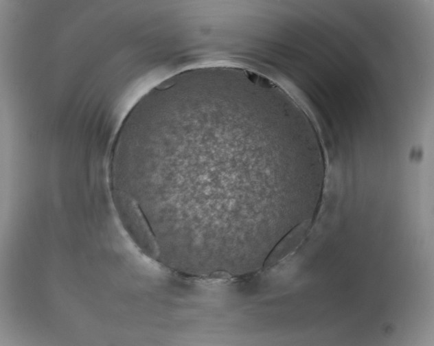 X0000112730813200909101450