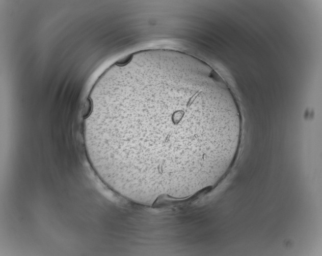 X0000112730816200909101450