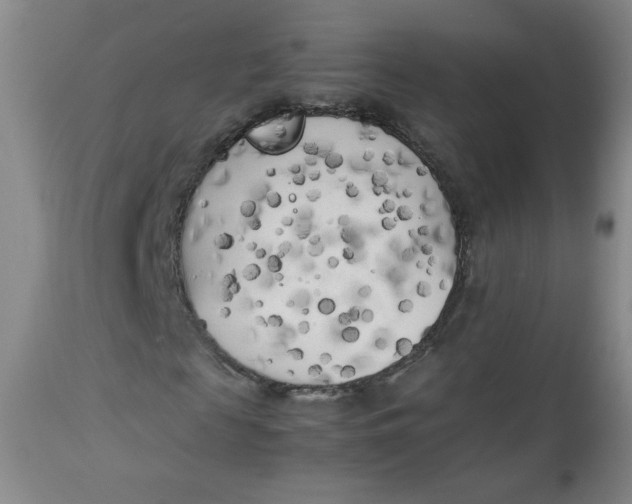 X0000112730817200909101449