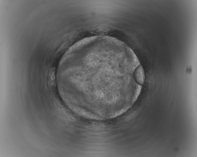 X0000112730818200909101449