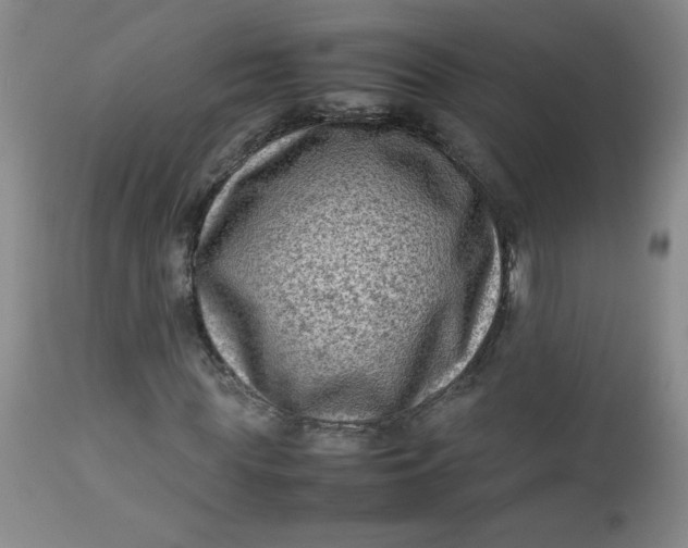 X0000112730819200909101449