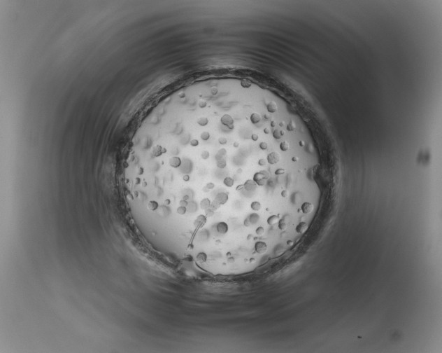 X0000112730825200909101449