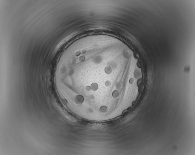 X0000112730826200909101449