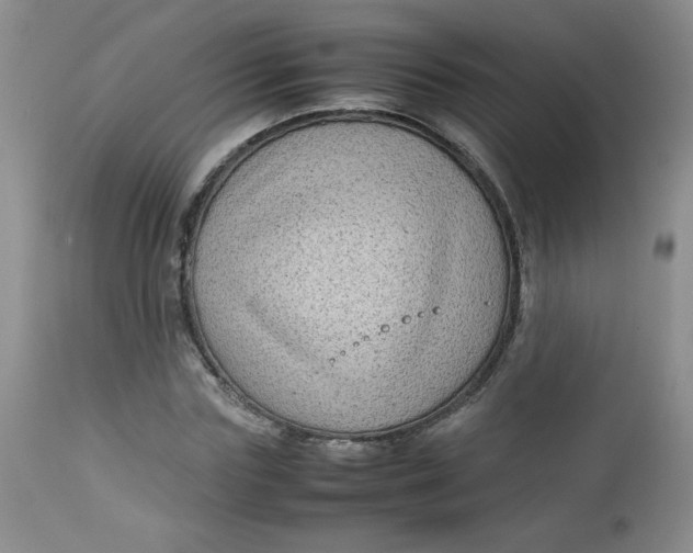 X0000112730827200909101449