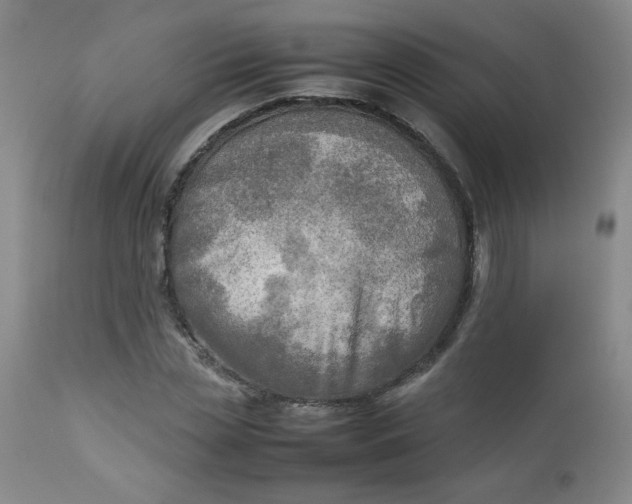 X0000112730829200909101449