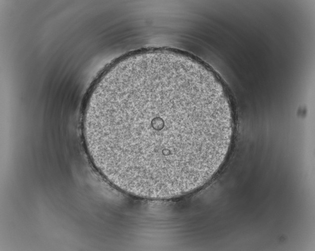 X0000112730832200909101449