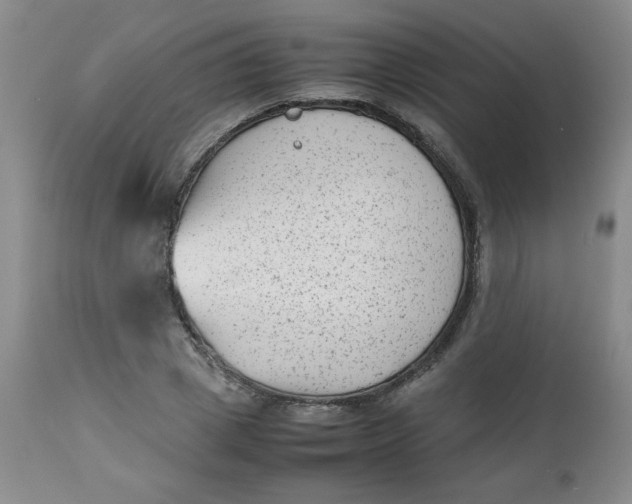 X0000112730833200909101449