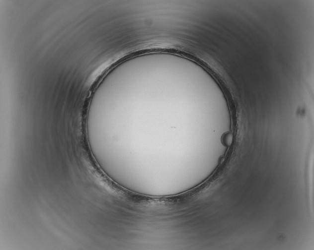 X0000112730834200909101449