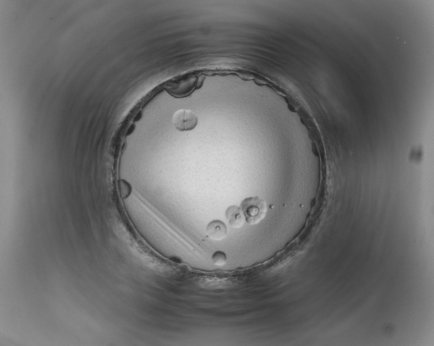 X0000112730835200909101449