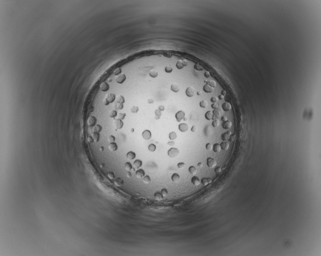 X0000112730837200909101449