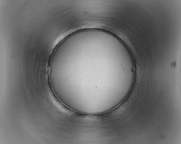 X0000112730842200909101449