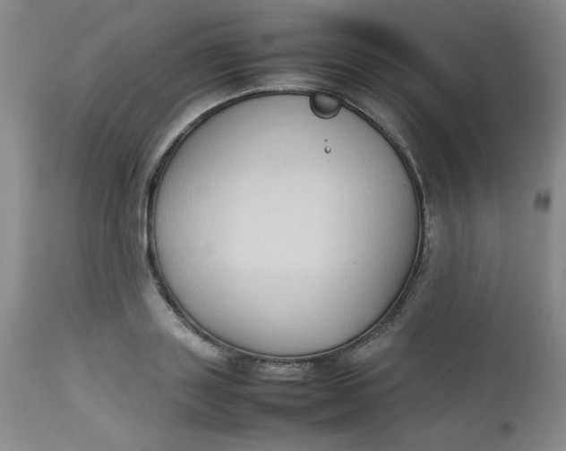 X0000112730843200909101449