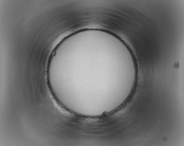 X0000112730845200909101449