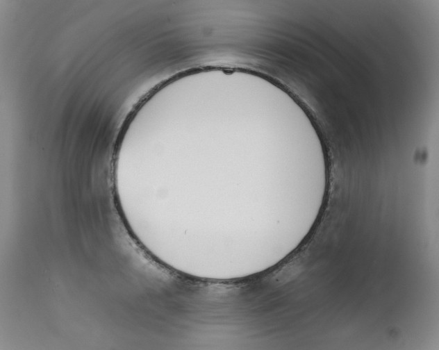 X0000112730848200909101450