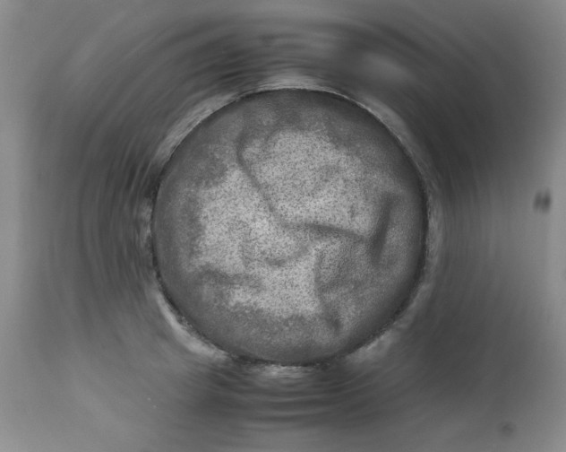 X0000112730849200909101450