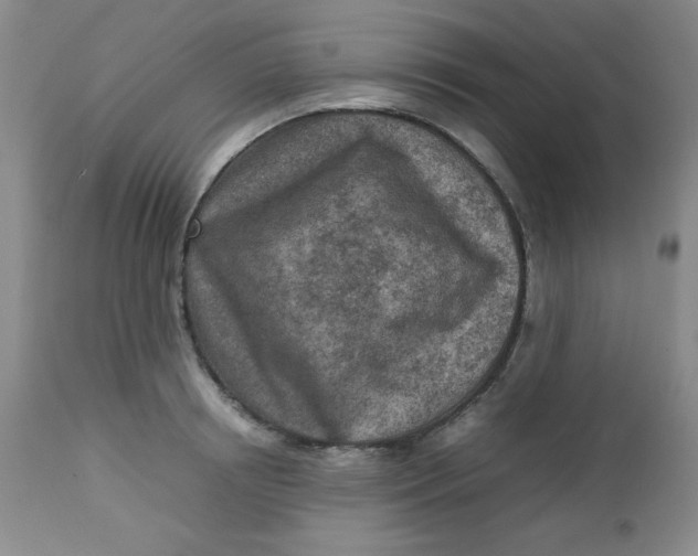 X0000112730850200909101450