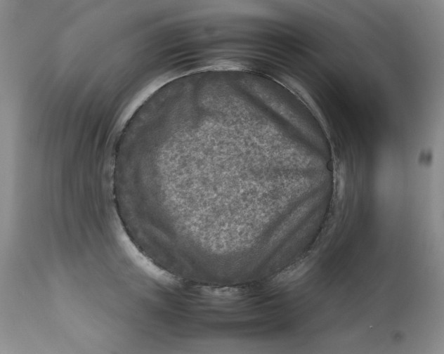 X0000112730851200909101450