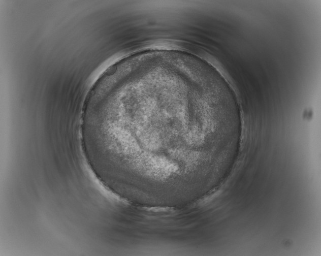 X0000112730853200909101450