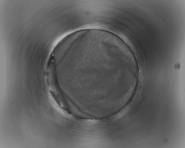 X0000112730854200909101450