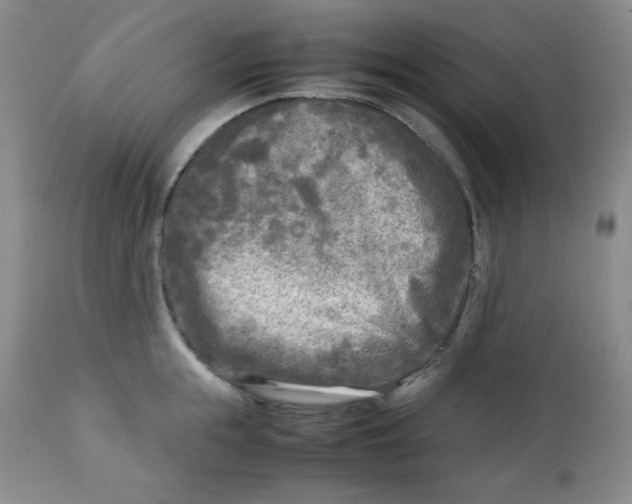 X0000112730855200909101450