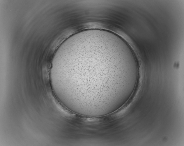 X0000112730857200909101450