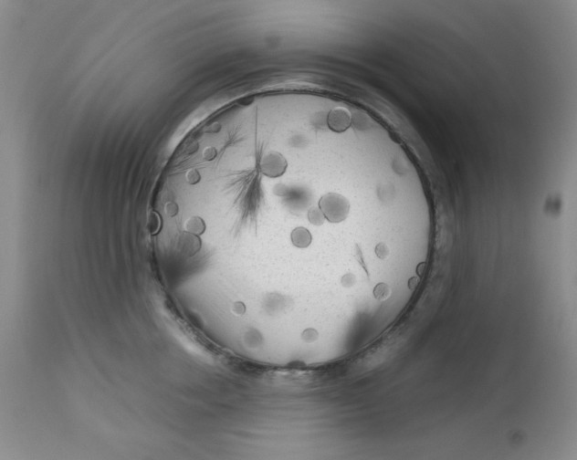 X0000112730858200909101450