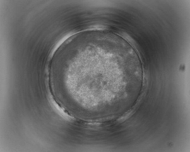 X0000112730859200909101450