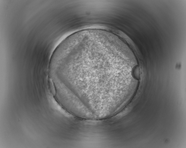 X0000112730860200909101450