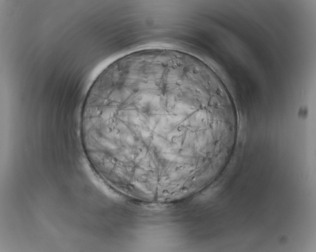 X0000112730862200909101450