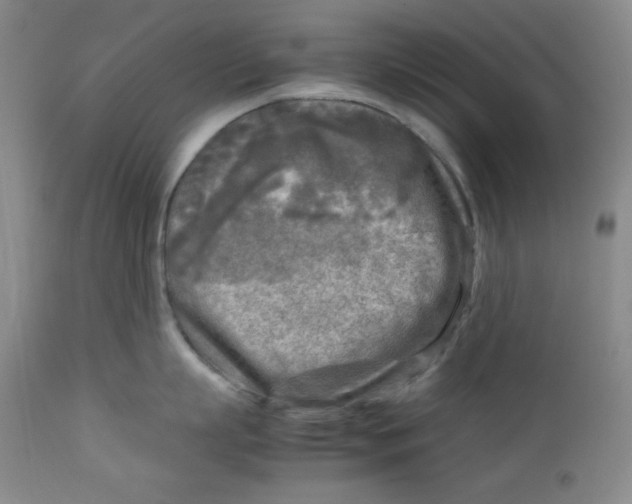 X0000112730863200909101450