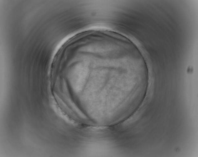 X0000112730864200909101450