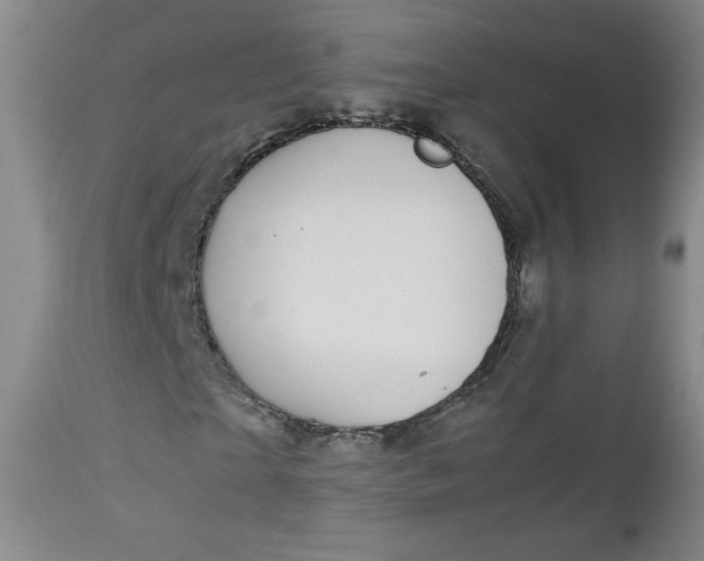 X0000112730865200909101449