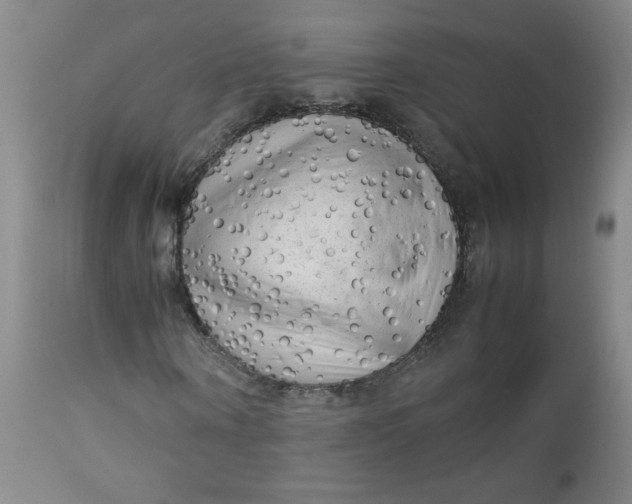 X0000112730866200909101449