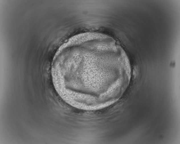 X0000112730867200909101449