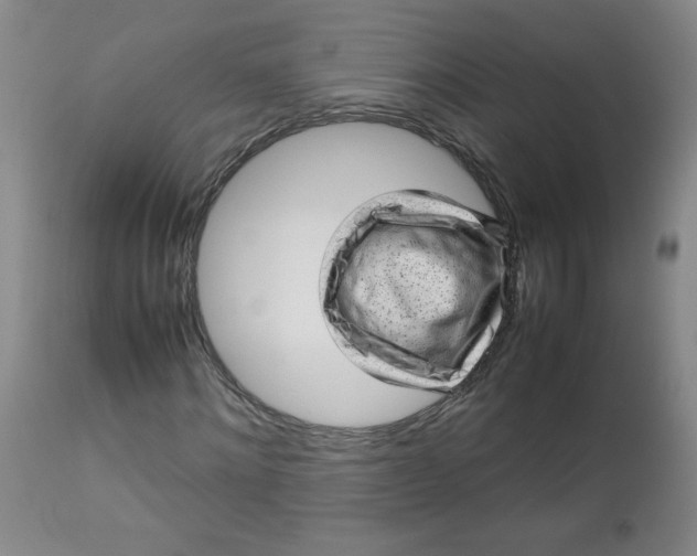 X0000112730868200909101449