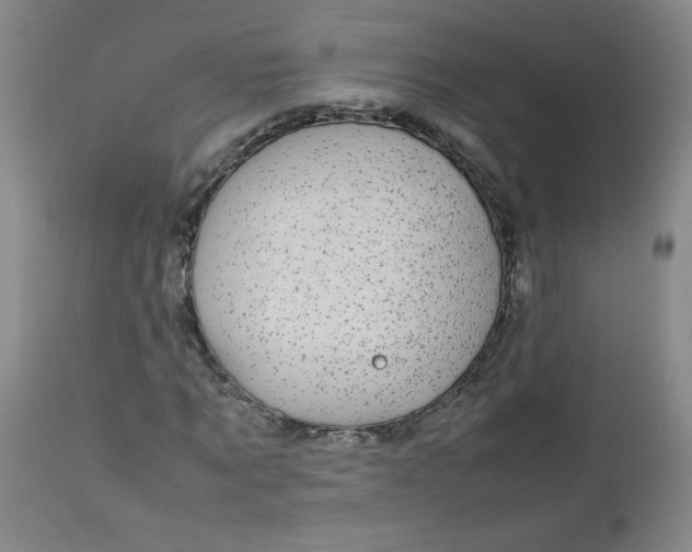 X0000112730869200909101449