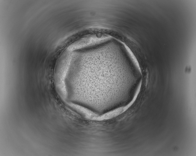 X0000112730870200909101449