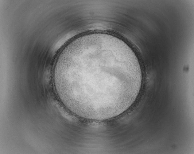 X0000112730874200909101449