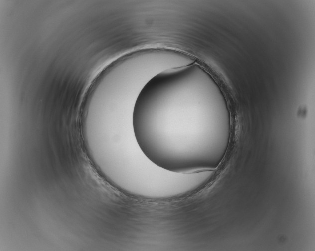 X0000112730876200909101449