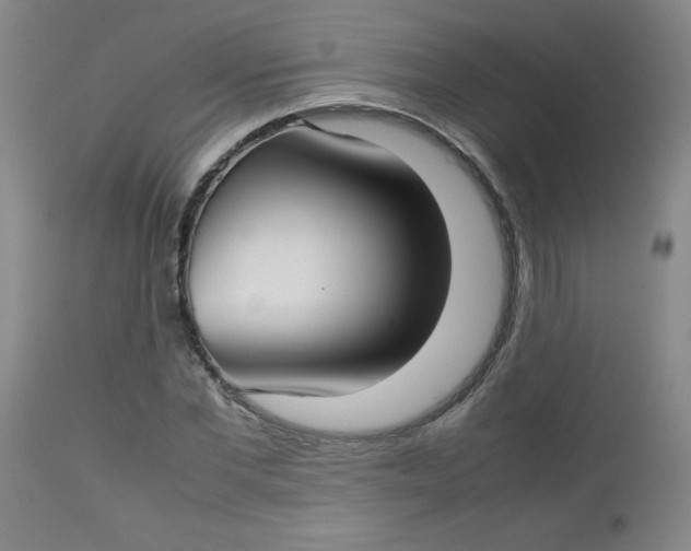 X0000112730877200909101449