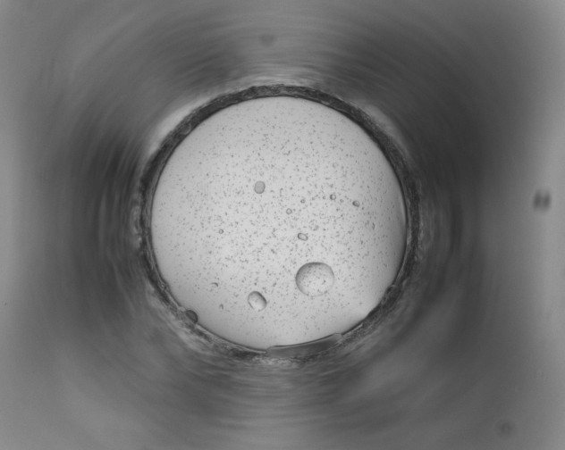 X0000112730878200909101449