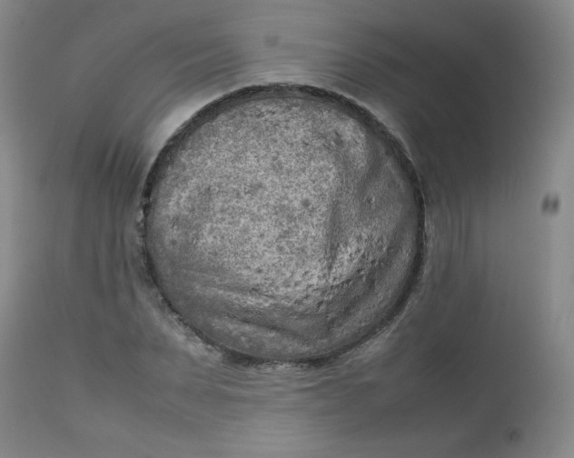 X0000112730879200909101449