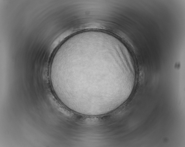 X0000112730882200909101449