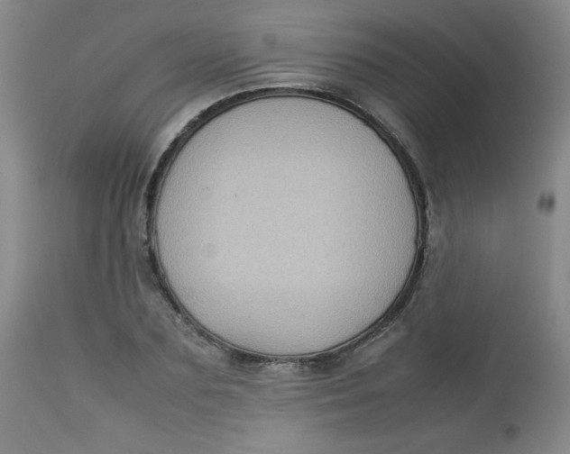 X0000112730883200909101449