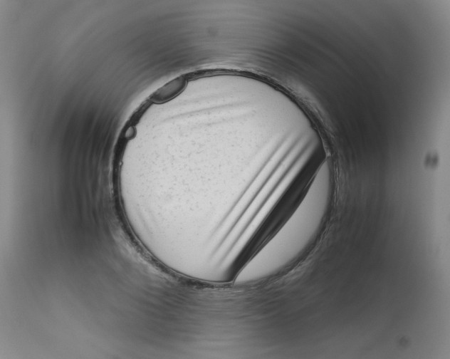 X0000112730884200909101449